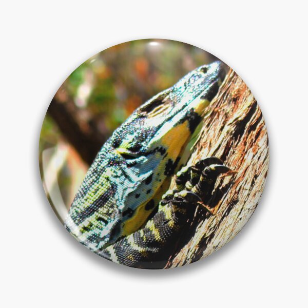 Artikelvorschau, Die Goanna im Baum! entworfen und verkauft von Mickangelhere.