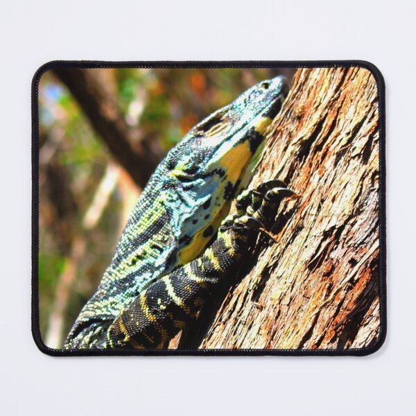 Item preview, The Goanna in the Tree! designed and sold by Mickangelhere.