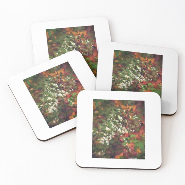 Item preview, Fall Flowers designed and sold by MrsSellers17.