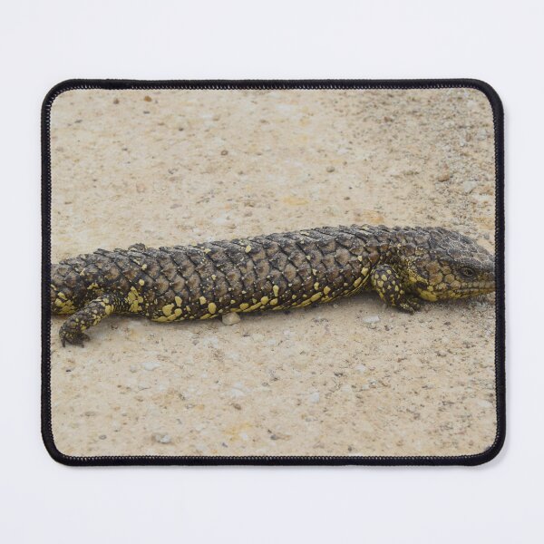 Item preview, Shingleback Lizard designed and sold by Lorraine McCarthy.