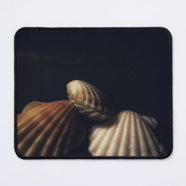 Item preview, sea shells on a black background designed and sold by optimusprime39.