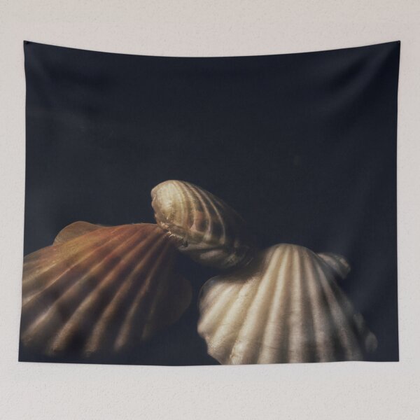 Item preview, sea shells on a black background designed and sold by optimusprime39.