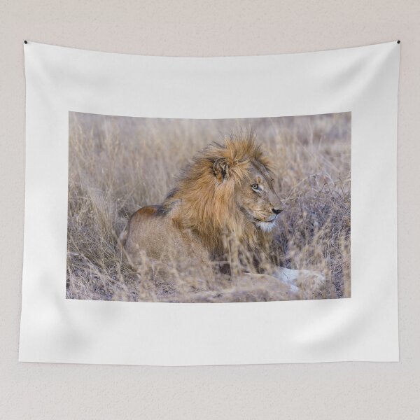 Item preview, Resting Lion designed and sold by Jan Fijolek.
