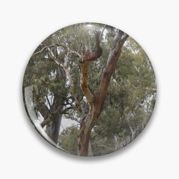 Item preview, Trees of Flinders Ranges designed and sold by Lorraine McCarthy.