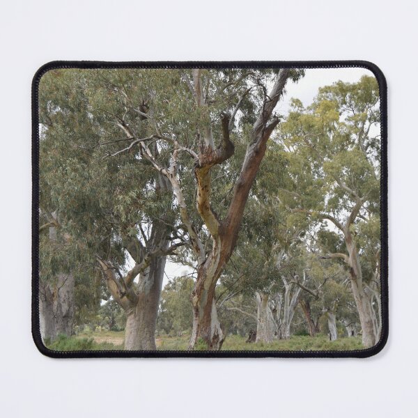 Item preview, Trees of Flinders Ranges designed and sold by Lorraine McCarthy.