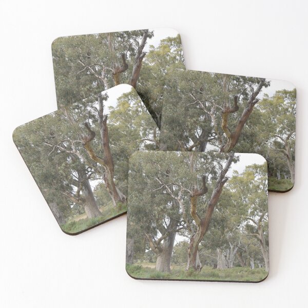 Item preview, Trees of Flinders Ranges designed and sold by Lorraine McCarthy.