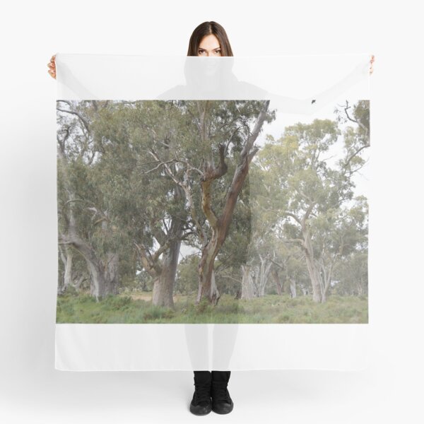 Item preview, Trees of Flinders Ranges designed and sold by Lorraine McCarthy.