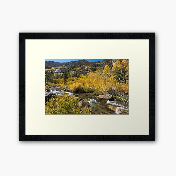 Bishop Fall 2017 South Fork Framed Art Print