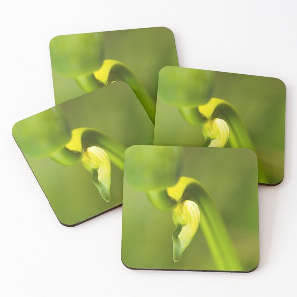 Item preview, Agapanthus Bud Earring designed and sold by Joy Watson - Natural Light Photography .