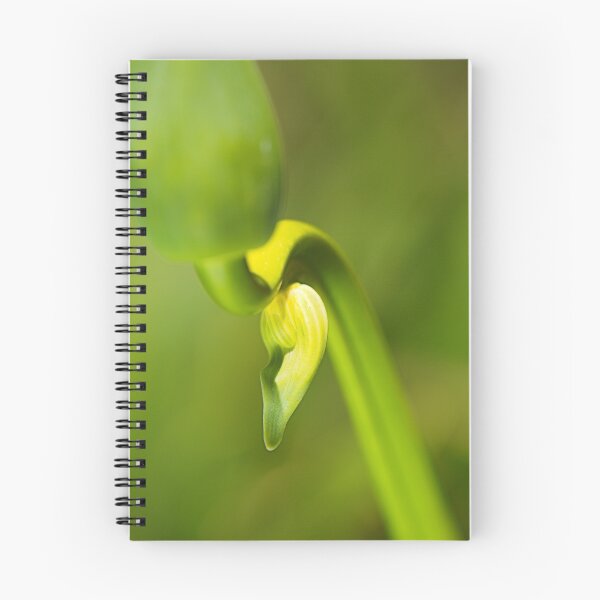 Item preview, Agapanthus Bud Earring designed and sold by Joy Watson - Natural Light Photography .