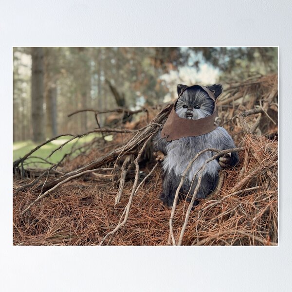Item preview, bebé ewok designed and sold by maybeidrawstuff.
