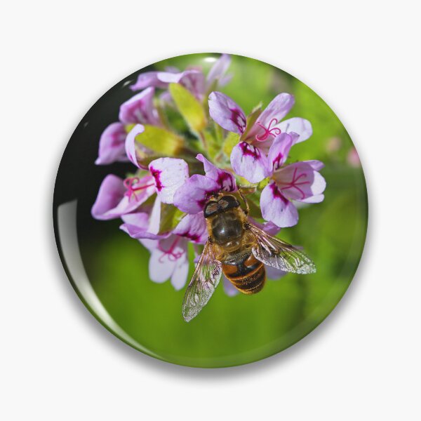 Item preview, Honeybee On Geranium Flowers designed and sold by Joy Watson - Natural Light Photography .