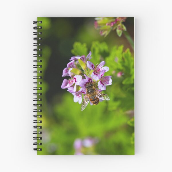 Item preview, Honeybee On Geranium Flowers designed and sold by Joy Watson - Natural Light Photography .