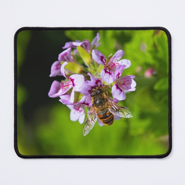 Item preview, Honeybee On Geranium Flowers designed and sold by Joy Watson - Natural Light Photography .
