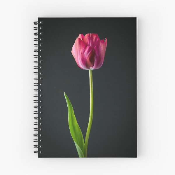 Item preview, Single Tulip designed and sold by Liv Stockley.