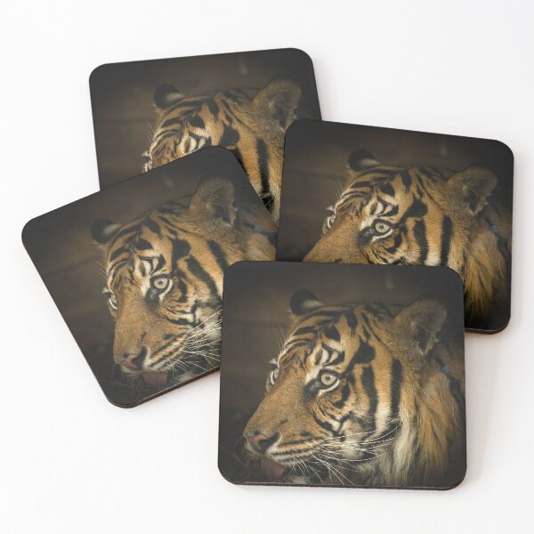 Item preview, Tiger designed and sold by PVphotography.