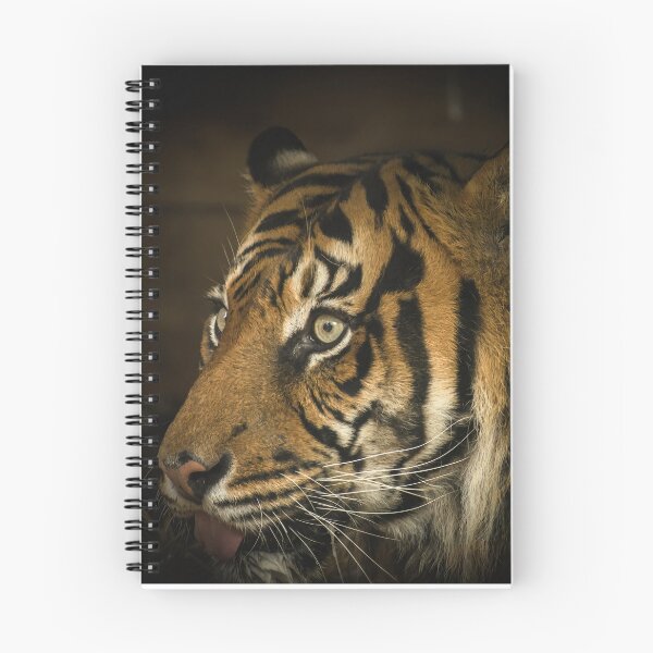Item preview, Tiger designed and sold by PVphotography.