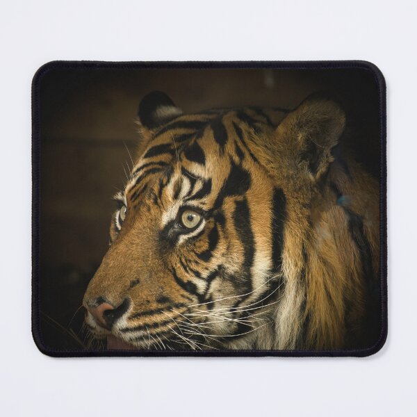 Item preview, Tiger designed and sold by PVphotography.