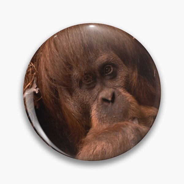 Item preview, Orangutan  designed and sold by PVphotography.