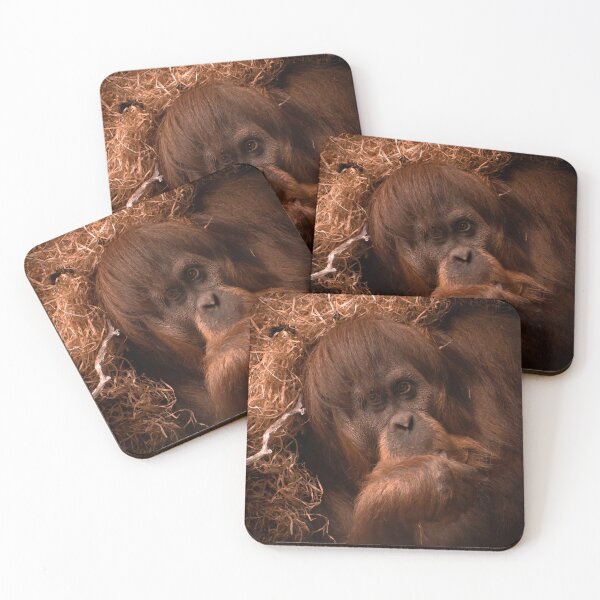 Item preview, Orangutan  designed and sold by PVphotography.