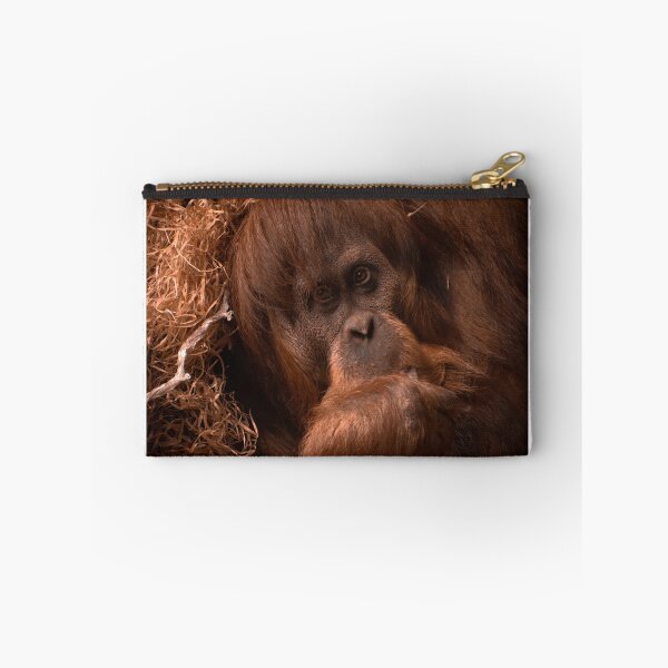 Item preview, Orangutan  designed and sold by PVphotography.