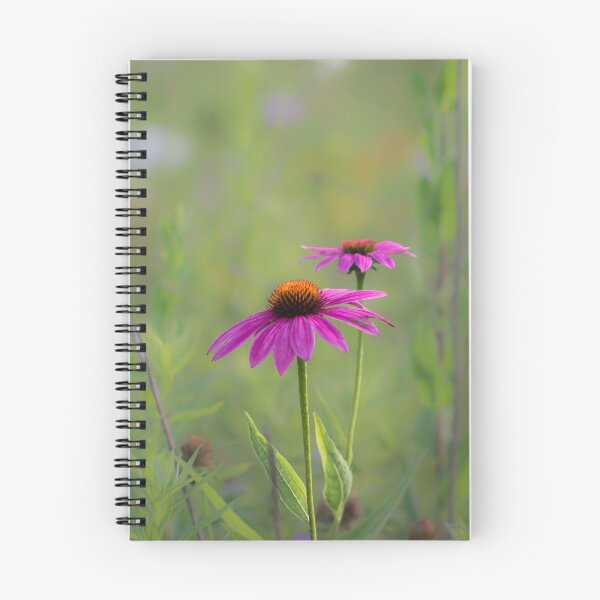 Item preview, Echinacea  designed and sold by NicolasTod.