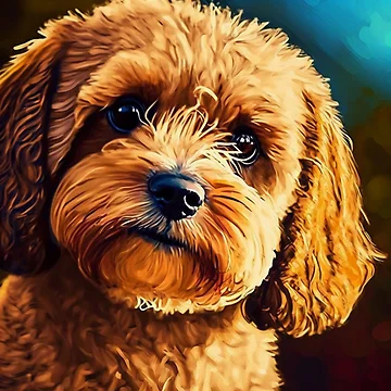 Imagen de la obra cavapoo de MrUtDesign
