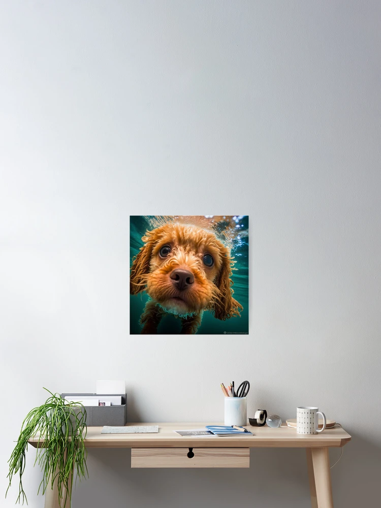 Thumbnail 2 of 3, Poster, cavapoo designed and sold by MrUtDesign.