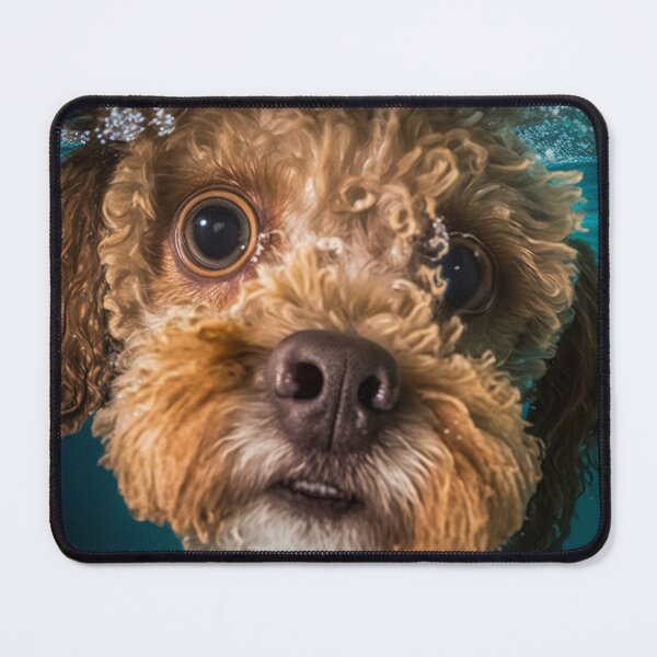 Item preview, cavapoo designed and sold by MrUtDesign.