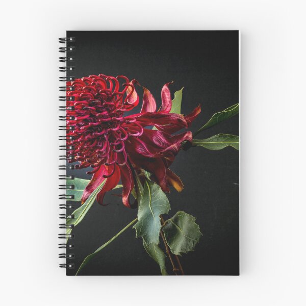 Artikelvorschau, Neusüdwales Waratah entworfen und verkauft von Liv Stockley.
