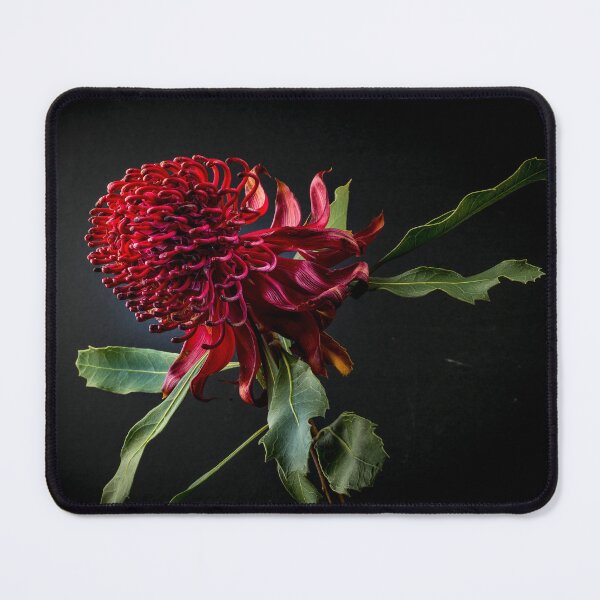 Item preview, New South Wales Waratah designed and sold by Liv Stockley.