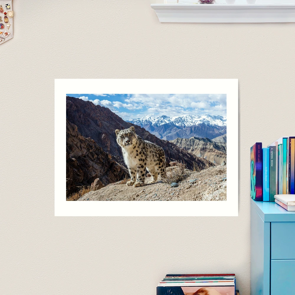 Snow Leopard Tumbler – Ericka Moore Photography & Design