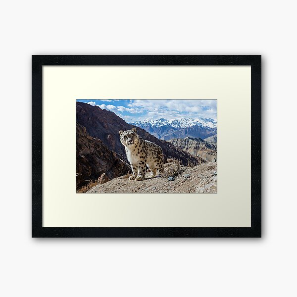 Vista previa del artículo con la obra «Leopardo de las nieves en las rocas», diseñado y vendido por Sascha Fonseca.