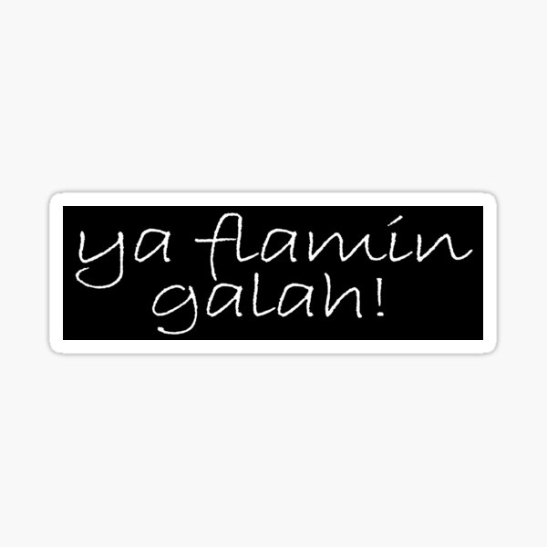 ya-flamin-galah-australian-slang-white-writing-sticker-by-dodgerock-redbubble