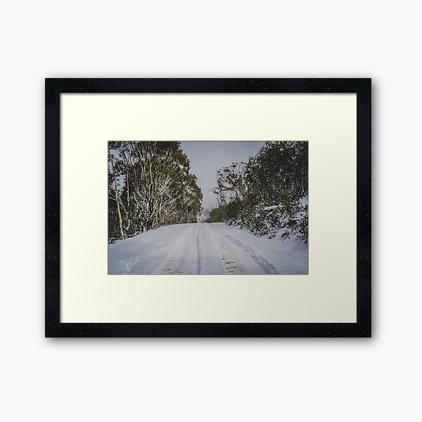 Tracks in the snow Framed Art Print