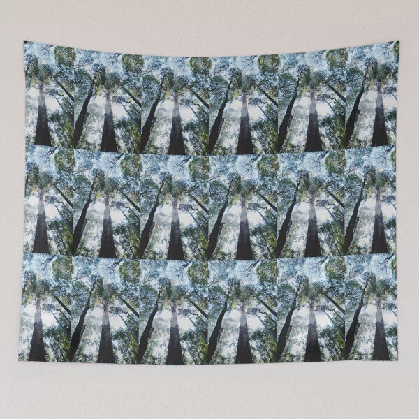 Item preview, 'Tall Trees Walk' Mt Field National Park designed and sold by imaginethis.