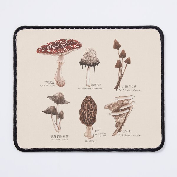 Item preview, Mushroom field guide designed and sold by KelSticks.