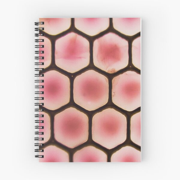 Item preview, Muscidae - Housefly Eye - Microscopy Photograph designed and sold by DreamPieces.
