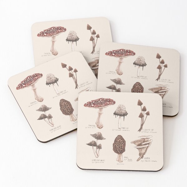 Item preview, Mushroom field guide designed and sold by KelSticks.