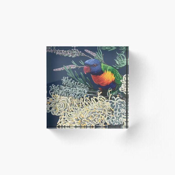 Rainbow Lorikeet and Grevillea Acrylic Block