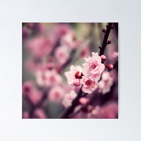 Item preview, {stay with me} designed and sold by Lucy Wardle.