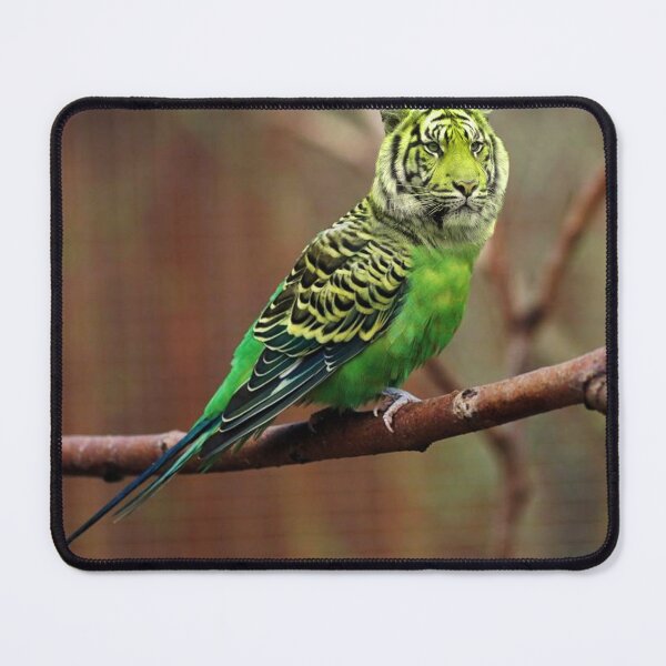 Item preview, Melopsittacus tigris (Tigerbird) designed and sold by screamingbyron.