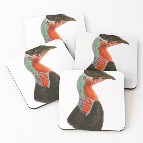 Item preview, Southern Cassowary From Australia designed and sold by laguitan10.