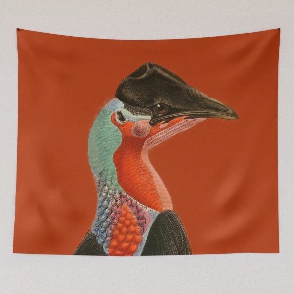 Item preview, Southern Cassowary From Australia designed and sold by laguitan10.