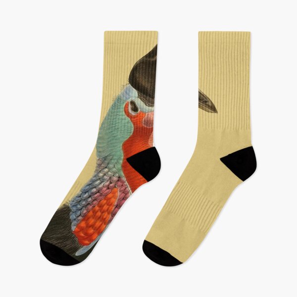 Item preview, Southern Cassowary From Australia designed and sold by laguitan10.