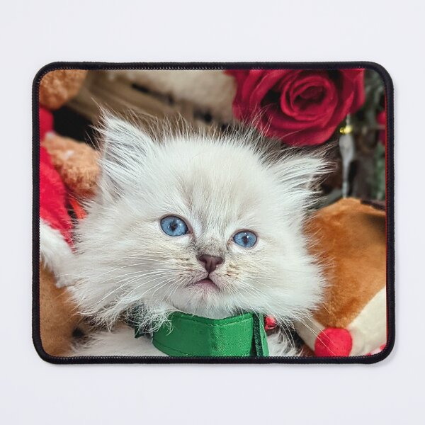 Item preview, Christmas ragdoll kitten designed and sold by Fluffycat2020.