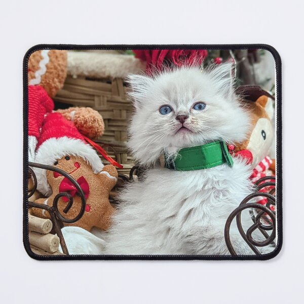 Item preview, Christmas ragdoll kitten designed and sold by Fluffycat2020.