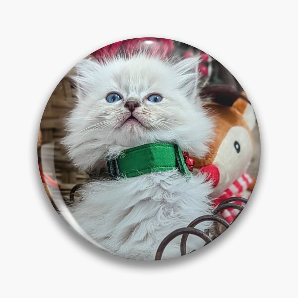 Item preview, Christmas ragdoll kitten designed and sold by Fluffycat2020.