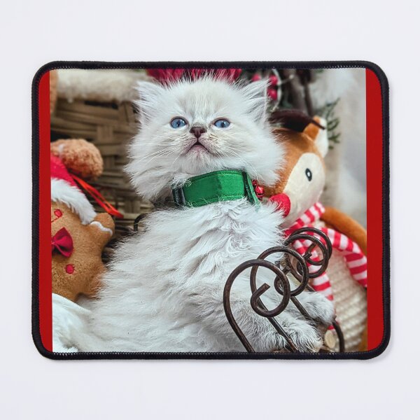 Item preview, Christmas ragdoll kitten designed and sold by Fluffycat2020.