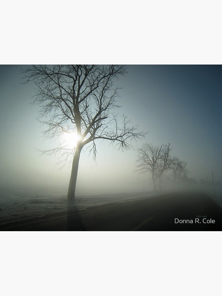 Winter Fog by alwaysdrc